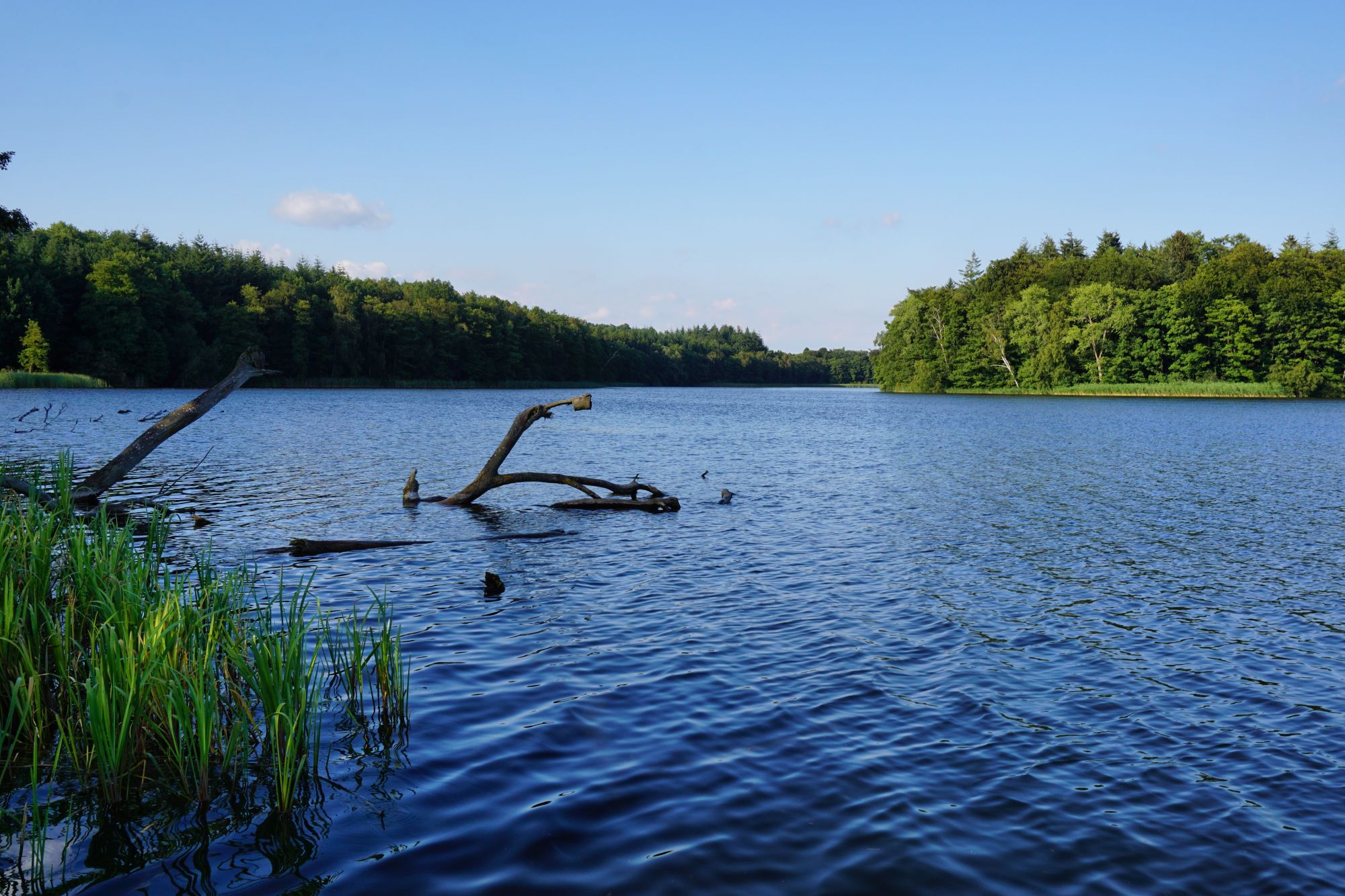 header-startseite-paradise-urlaub-de