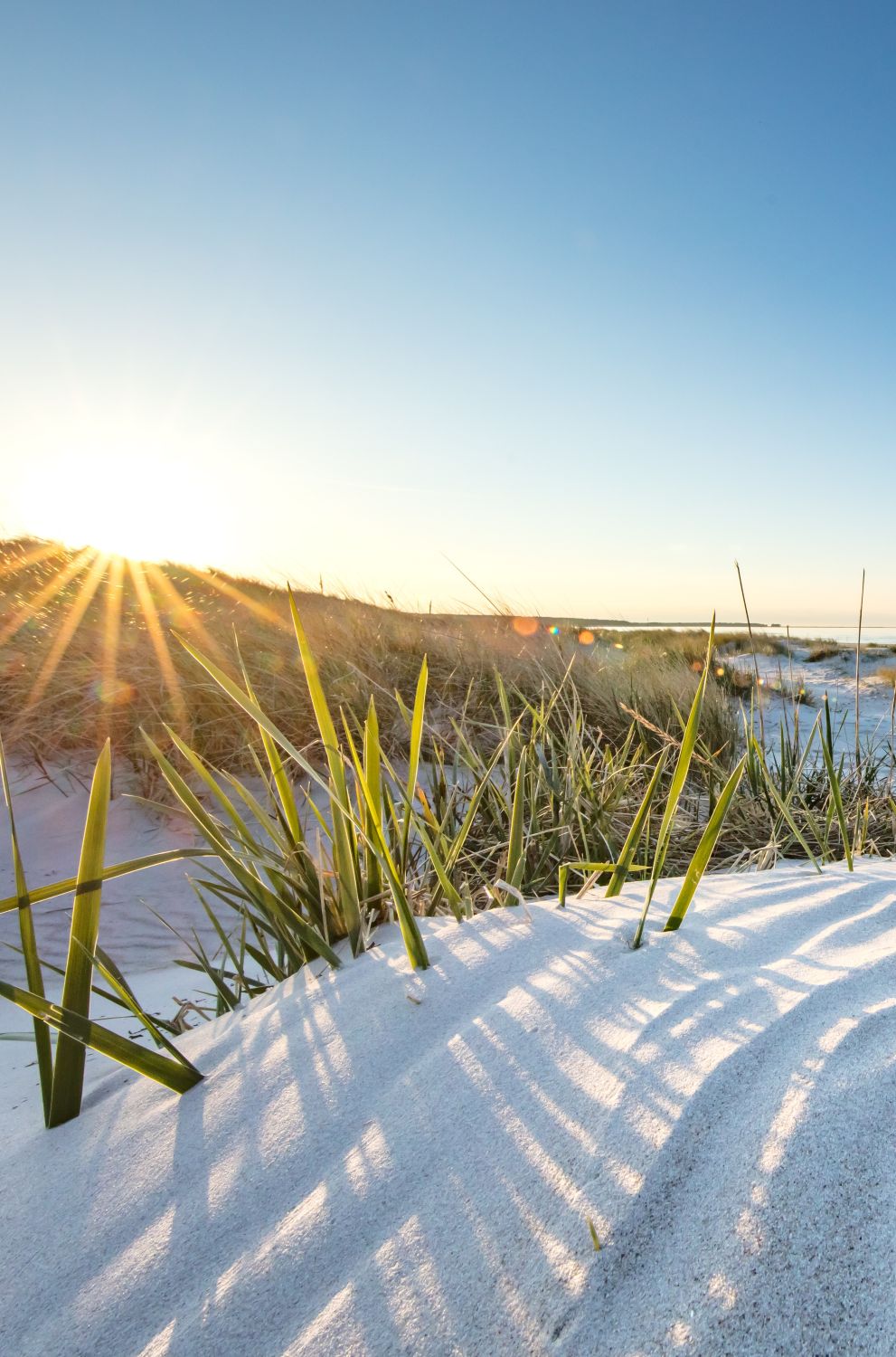 ostsee-startseite-paradise-urlaub-de