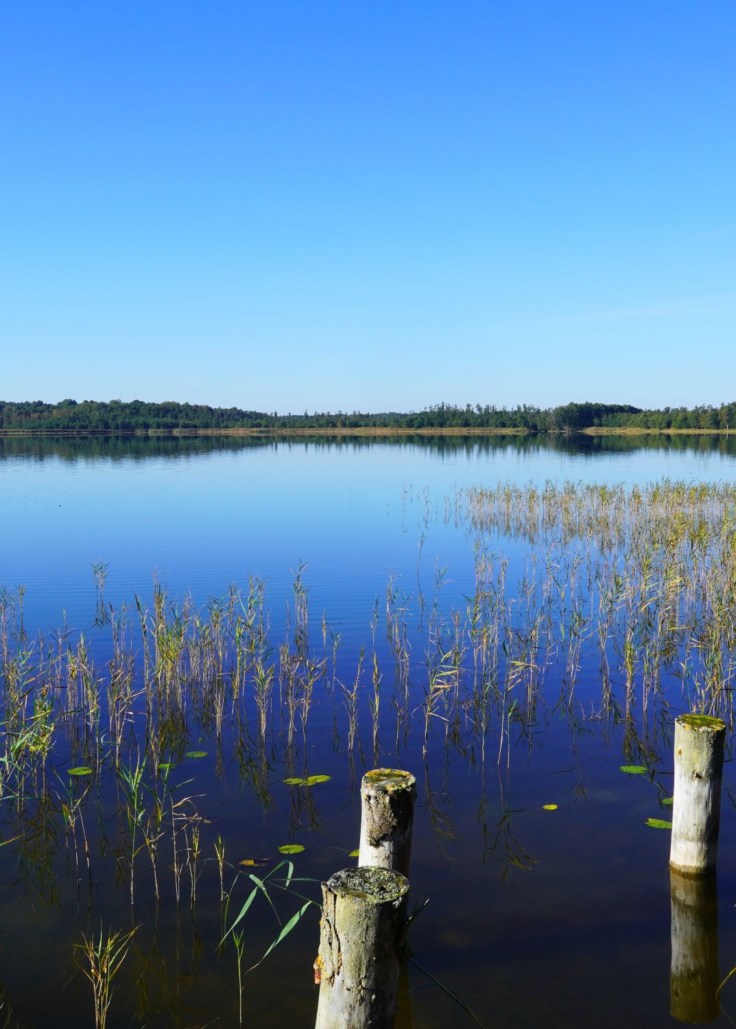see-startseite-paradise-urlaub-de