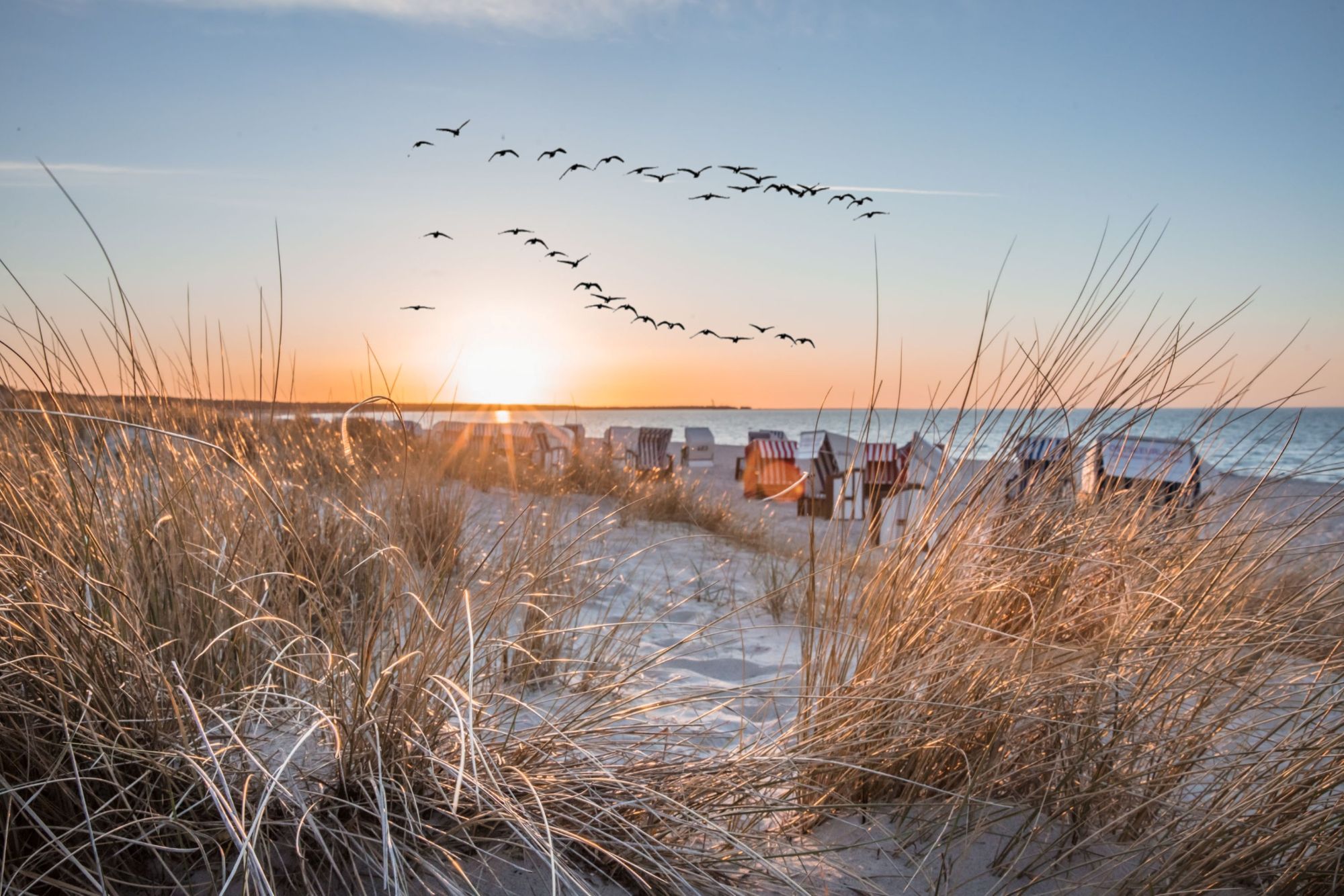 ostsee-apartments-kueste-paradise-urlaub-de